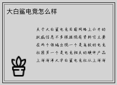 大白鲨电竞怎么样